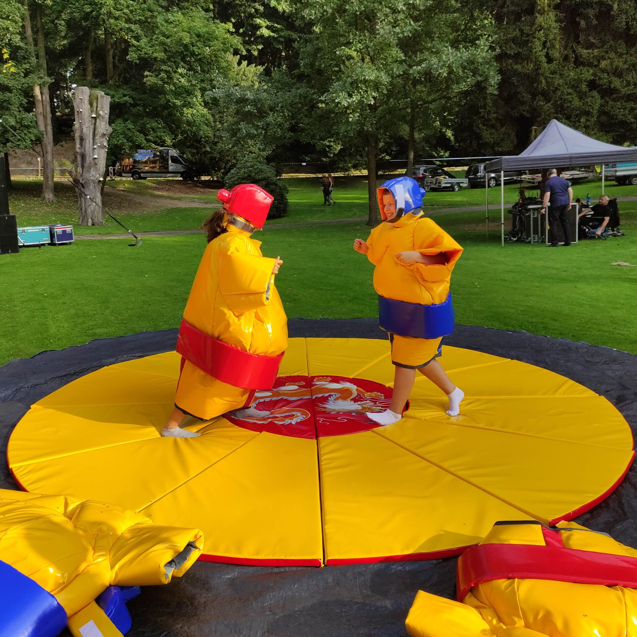 Sumo ring
